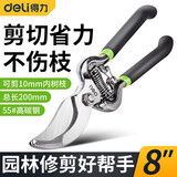 得力（deli）修枝剪刀花枝剪果树园林园艺剪省力修树枝花艺剪 8英寸 DL2778