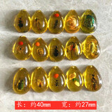 胖东来同款琥珀昆虫标本严选蝎子知了盲盒儿童礼物课本 水滴形金珀色（虫子混搭） 一个订单一个 50mm 20~