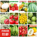 【西瓜套餐】西瓜种子西瓜阳台盆栽农家田园瓜种大全各种各样 冰糖麒麟西瓜种子2包约100粒