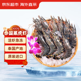京东超市 海外直采泰国活冻黑虎虾中号400g (40-50规格) 16-20只/盒 海鲜