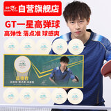 双鱼乒乓球一星 1星兵乓球高弹性训练用球 GT40+ 白色10个装
