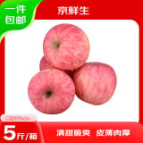 京鲜生 山东烟台红富士苹果 净重5斤 果径75mm+ 新鲜水果 源头直发
