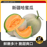 杨家姑娘【顺丰】新疆吐鲁番哈密瓜 火焰蜜瓜甜瓜香瓜网纹瓜当季新鲜水果 5-6斤甄选果 2枚 【顺丰/JD】
