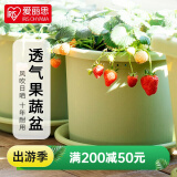爱丽思（IRIS）Deepot花盆加厚树脂控根圆口绿萝绣球蔷薇月季塑料花盆 8号浅绿色(口径约26.6cm)无盆托