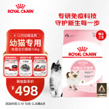皇家幼猫猫粮 幼猫奶糕 K36 通用粮 4-12月 10KG