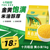 十月稻田  黄小米1kg 杂粮  黄米农家粥米粟米