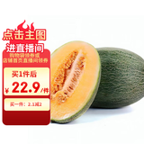 京鲜生 海南哈密瓜/西州蜜 1粒装 2.5斤起 生鲜水果