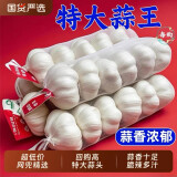 京东买菜山东金乡蒜大蒜出口标准精选大蒜头蔬菜调料单果5cm 出口标准网兜装箱 455g 5-5.5cm特大