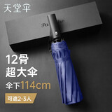 天堂全自动加大三折晴雨伞抗风暴伞强效拒水商务伞男女士 黛蓝-12骨伞下114cm3人大伞