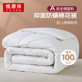 恒源祥A类抗菌100%新疆棉花被子 冬季加厚被芯棉被褥8斤 180*200cm