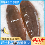 鲜喜利真正龙利鱼整条舌头鱼商用海鲜水产深海鱼新鲜冷冻踏板鱼牛舌鱼 1500g 【3-4条/斤】
