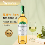 智象智利原瓶进口 安第斯莫斯卡托甜白葡萄酒750ml单支红酒 