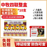 【顺丰快速发货】正品中牧四联狗狗疫苗幼犬疫苗套餐细小狗细小犬瘟热幼犬成犬土狗犬瘟翻肠子国产通用疫苗针 中牧犬四联1盒+1支体外驱虫