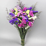 云南勿忘我干花花束真花鲜花发货自然风干客厅装饰摆设件茶几送人 6色混搭+草 20支(长40厘米)