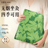 艾修堂陈艾绒电加热叶艾草坐垫C1Pro臀部办公室家用热敷垫子四季通用