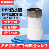 4分20 6分25电热水器活接头ppr活直接 弯头 三通热熔水管配件接头 20*4分活直接（加厚铜冒）