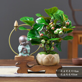 花翁小盼菩提盆栽带果盆景室内办公茶几桌面摆件中式禅意绿植源头直发