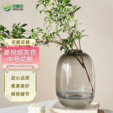 吕姆克玻璃花瓶轻奢摆件客厅插花瓶水培容器雪柳鲜花吊钟灰中号花瓶5684