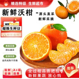 骑猴赶马新鲜沃柑水果应当季柑桔橘子水果果园产地现摘新鲜水果沃柑 9斤 老树果更加甜【60-70mm】净重8.5斤 【源头直采】