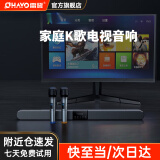 雷登（OHAYO） H10家庭ktv音响套装5.1环绕音回音壁客厅投影仪电视家庭影院K歌唱歌卡拉OK设备长条蓝牙音箱 【K歌】8喇叭+双话筒【当/次日达】