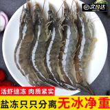 渔吻虾青岛大虾青虾鲜虾海虾白虾基围虾大对虾海捕大虾净重3斤 大虾 2斤(净重)  100只左右