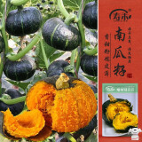 寿禾 贝贝南瓜种子苗迷你板栗菜瓜蔬菜种籽 潍丰糯帝绿贝贝种子8粒