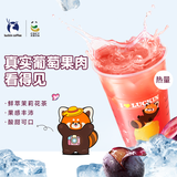 瑞幸咖啡 超大杯 葡萄柠檬茶 限自提 15天有效 luckin coffee 葡萄柠檬茶 超大杯