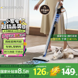德尔玛（Deerma）推杆地毯式两用小型强力大功率吸尘器 大吸力宠物吸毛吸尘器DX700Pro