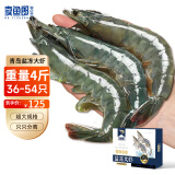 卖鱼郎先生青岛大虾4斤（净虾3.6斤+保护冰0.2kg）36-54只白虾大虾基围虾