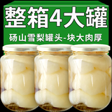 盘中玉【当季新果】新鲜雪梨罐头砀山梨罐头当季鲜果即食青酥梨整箱瓶装 500g*4罐 雪梨【块大肉厚+爽口甜脆+老少皆