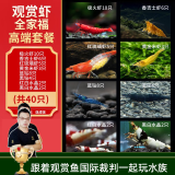云峰海瑞黑壳虾清洁虾观赏虾 鱼缸水族箱水草缸清洁除藻淡水 【漂亮清洁虾】全家福高端套餐
