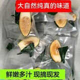 格沃斯【独立真空包装】海南新鲜生青槟榔果乐东陵水青果产地现摘直发货 独立包装6包果【甜味粉】