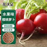 花沃里樱桃萝卜种子水果萝卜阳台蔬菜种子小萝卜四季种菜籽5g/约500粒