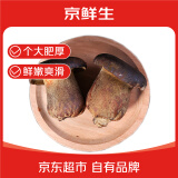 京鲜生 新鲜黑牛肝菌1斤云南特产食用菌菇炒菜煲汤食材送礼佳品源头直发