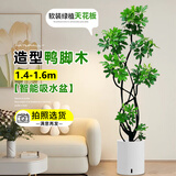 临雅鸭脚木客厅大盆栽室内阳台造型绿植物鸭掌木鹅掌财落地式大型摆件 造型鸭脚木1.4-1.6米+智能吸水盆