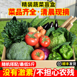 密农人家新鲜蔬菜盲盒 农家蔬菜组合 至少5种蔬菜搭配 当季时令蔬菜5斤 5斤