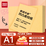 天章 （TANGO）A1全开双面凹凸皮纹纸 纹路包装纸班级活动纸 标书封面大张包装纸 海报背景纸 浅黄色210g 10张/包