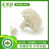 北菜园菜花有机散白菜花350g新鲜有机蔬菜【进店多样加购】花菜