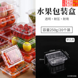 坤随  一次性水果包装盒透明加厚果蔬蓝莓草莓榴莲打包盒塑料超市商用 约半斤装【250g】20个