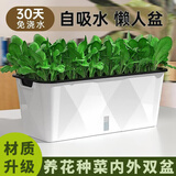 德沃多种菜盆长方形种植箱塑料加厚自动吸水花盆种菜箱蔬菜种植盆大号