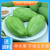 浍爷广西酸野【酸芒果】生青芒果生吃脆芒果应季水果象牙四季芒果 生吃大青芒果5斤（不保全生硬）