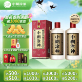 小糊涂仙（普神）浓香型白酒 52度 500ml*2 双瓶装(内含礼品袋)