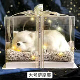依乐福18岁成人礼女十八生日礼物女孩送女儿子朋友闺蜜男礼盒创意少女心 大号萨摩耶 礼盒装+会叫哟