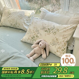 艾薇 枕头套枕套一对纯棉家用全棉单人枕套枕芯套 仙草 48*74cm