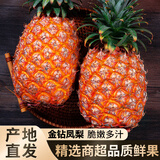 粤迎海南金钻凤梨【现货速发】新鲜水果时令应季热带水果现摘现发 5斤精选果【2-5个】净4.5斤