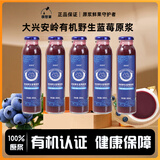 很想果100%有机野生蓝莓原浆大兴安岭特产 0添加0蔗糖食品礼物富花青素 300mL*1瓶 【100%有机蓝莓汁】