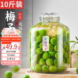 拜杰泡酒容器玻璃泡酒专用瓶密封玻璃瓶酒坛酿酒瓶泡菜坛子泡酒瓶