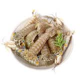 冰鲜 皮皮虾 300g