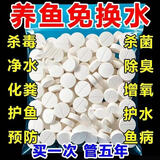 高级净水片鱼缸水族箱净化水浑浊绿水脏除腥臭味过滤免换水净水王 三效合一养水【瓶装500粒】