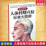 【新华正版】人体经络穴位标准大图册 超清晰 人体经络穴位图解书人体穴位图解大全 中医按摩经络穴位书籍 经络穴位按摩大全养生书正版 人体经络穴位标准大图册 国家名老中医吴中朝
